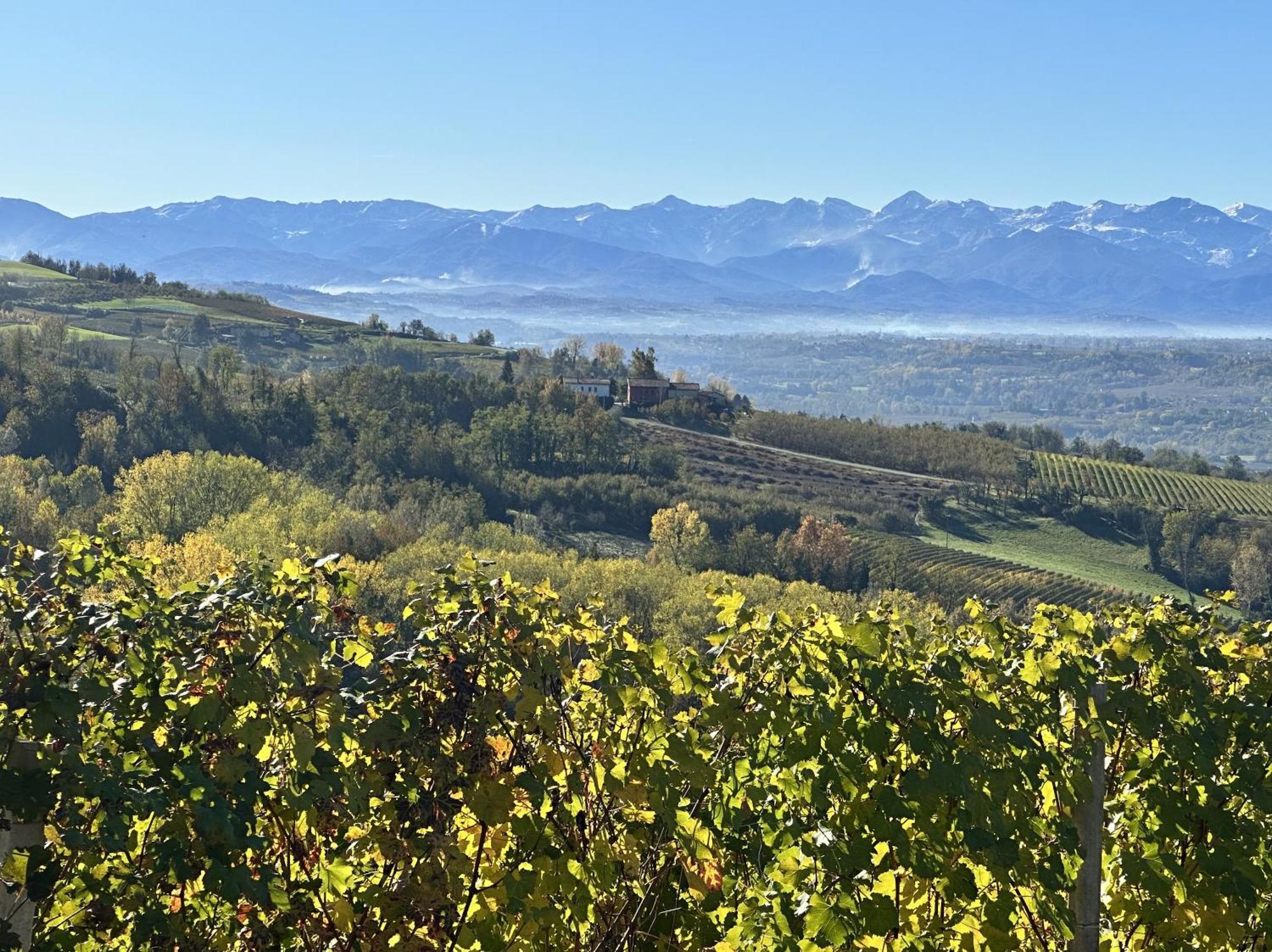 הוילה נובלו Just Langhe Casa Barolo מראה חיצוני תמונה
