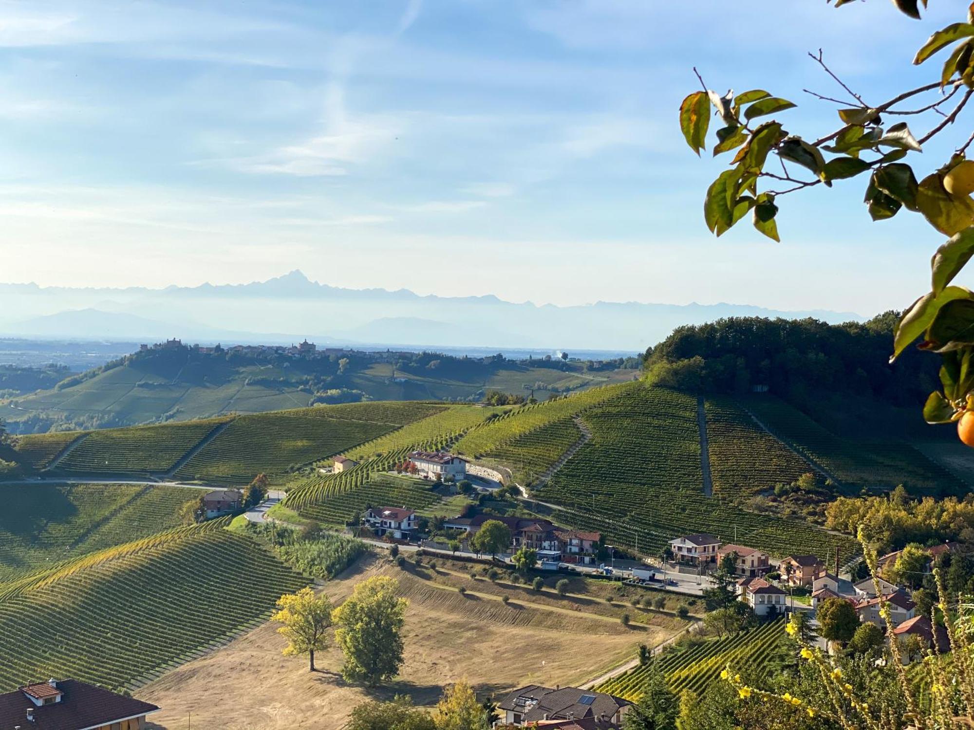 הוילה נובלו Just Langhe Casa Barolo מראה חיצוני תמונה