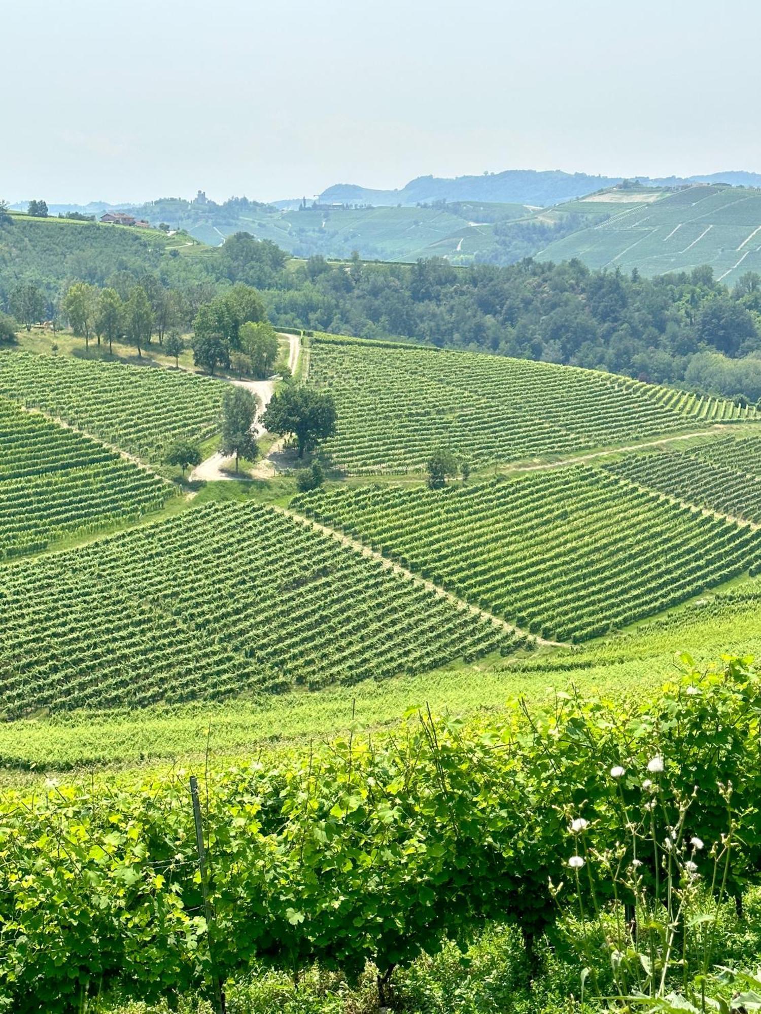 הוילה נובלו Just Langhe Casa Barolo מראה חיצוני תמונה
